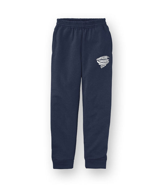 Picture of PC78YJ - Youth Core Fleece Jogger
